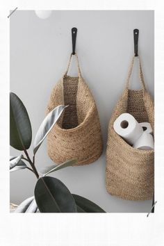 two baskets hanging on the wall with toilet paper and rolls in them next to a potted plant