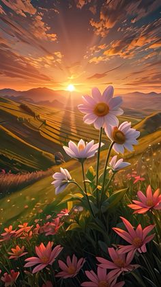 the sun shines brightly in the sky above some pink daisies and green hills