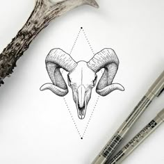 a drawing of an animal's head with long horns