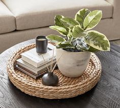 a coffee table with books and a potted plant on it