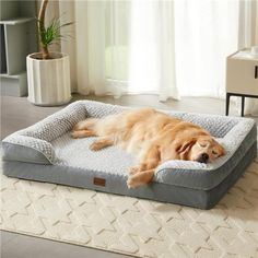 a large brown dog laying on top of a bed in the middle of a living room