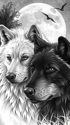 two black and white wolfs in front of a full moon