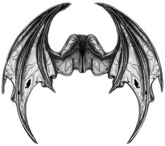 an artistic drawing of a bat with wings spread out to the side, on a white background