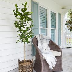 a wicker chair sitting on a porch next to a potted plant