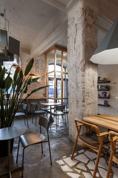 the interior of a restaurant with tables and chairs, potted plant on the table