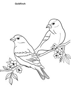 two birds sitting on top of a tree branch with flowers in the foreground and text goldfinch above it