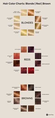 Hair Colour Chart, Blond Ash, Hair Color For Morena, Hair Color Red Ombre, Beige Blond, Color For Black Hair, Hair Color Chart, Hair Color Shades, Hair Color Purple