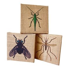 three square coasters with bugs on them