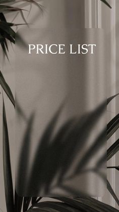 Makeup Price List, Hair Care Business, Salon Price List, Esthetician Marketing, Brow Stylist, Instagram Branding Design, Spa Prices