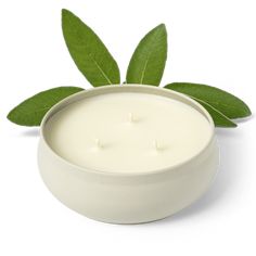 Woodland Sage is a luxurious blend of clary sage, sandalwood, and white musk, with a hint of fresh eucalyptus. Our new 3-wick candles are crafted to fill your space with bold fragrance, thanks to a larger melt pool that enhances the scent throw. Hand-poured in small batches, each candle is made with 100% plant-based fragrances, lead-free wicks, and pure soy wax for a clean burn. Woodland Sage, Salvia Sclarea, Fresh Eucalyptus, Fabric Spray, Bergamot Oil, Candle Gift Set, 3 Wick Candles, Wick Candle, Clary Sage