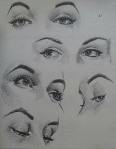 a pencil drawing of different types of eyes