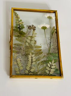 This serene and timeless pressed flower art piece brings the beauty of nature indoors. Featuring two delicate white daisies surrounded by a lush arrangement of preserved green ferns and foliage, this design is encased in a gold-toned frame. Perfect for adding a touch of natural elegance to any space. Pressed Eucalyptus, Greenery Art, Botanical Frame, Pressed Floral, Pressed Flower Crafts, White Daisies, Pressed Flower Art, Dried Flower Arrangements, Saint Charles