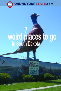 a large bird sitting on top of a sign in front of a building with the words weird places to go in south dakota