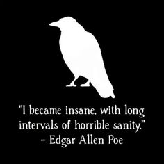 a white bird sitting on top of a black background with a quote from edgar allen poe