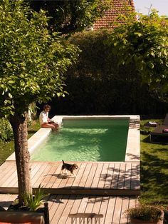 a person sitting on the edge of a swimming pool next to a tree and a dog