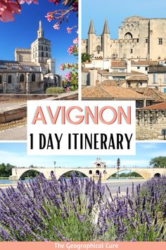 Pinterest pin for one day in Avignon Avignon France Things To Do, France Winter, Avignon France, Stunning Architecture, Trip To France