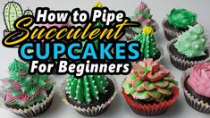 how to pipe succulent cupcakes for beginners