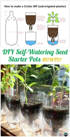 the instructions for how to make a self watering seed starter pot