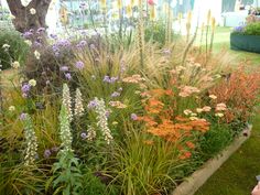 a garden filled with lots of different types of flowers