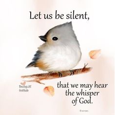 a bird sitting on top of a branch with a quote below it that reads let us be silent, that we may hear the whisper of god