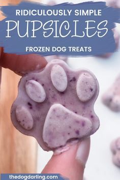 a person holding a frozen dog treat in their hand with the title ridiculous simple puppies frozen dog treats