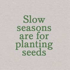 the words slow seasons are for planting seeds on a gray background with green lettering that reads,