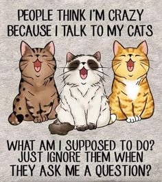 three cats sitting next to each other with the caption people think i'm crazy because i talk to my cats