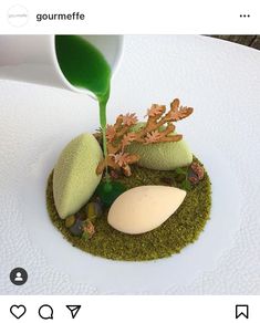 a white plate topped with green plants and rocks