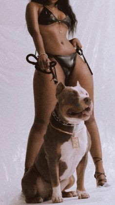 Pitbull Aesthetic, 21st Birthday Photoshoot, Beautiful Photoshoot Ideas, Shotting Photo, Creative Photoshoot, Glam Photoshoot, Creative Photoshoot Ideas, Fun Photoshoot, Beautiful Photoshoot