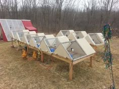 several chicken coops are lined up in the grass