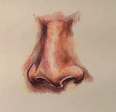 a pastel drawing of a cow's nose