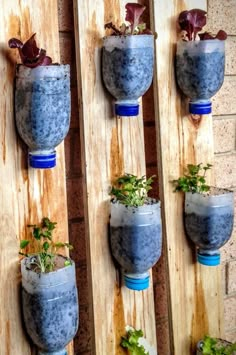 several planters mounted to wooden boards with plants in them