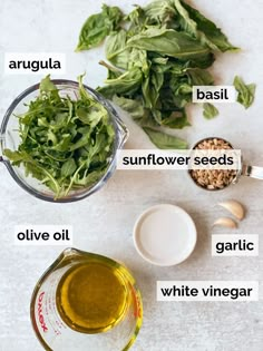 ingredients to make spinach salad laid out on a white counter top, including basil, sunflower seeds, garlic, and garlic