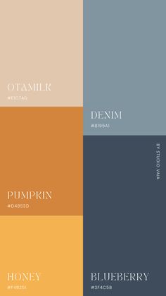 A warm and colorful palette with colors that appear calm, elegant and warm-hearted. Guest Room Color Palette, Colorful Fall Color Palette, Comfy Cozy Color Palette, Burnt Orange Mustard Color Palette, Stormy Blue Color Palette, Southwest Colors Palette Colour Schemes, Fall Muted Color Palette, 70s Inspired Color Palettes, Blue Bathroom Color Palette