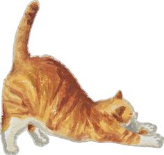 an orange and white cat laying on its back