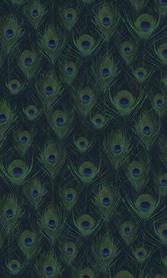 a large group of blue and green peacock feathers on a black background that is very detailed