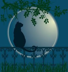 a black cat sitting on top of a fence under a moon filled sky at night