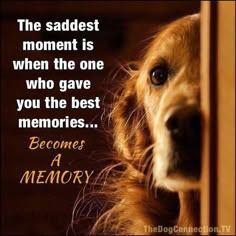 the saddest moment is when the one who gave you the best memories becomes a memory