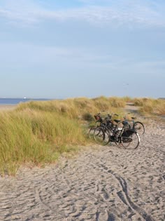 two bikes are parked on the beach near tall grass