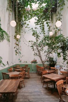 the interior of a restaurant with tables, chairs and potted plants hanging from the ceiling