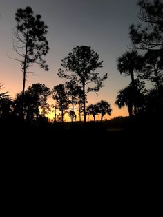 the sun is setting behind some trees