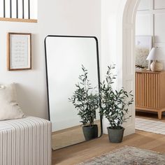 a living room with a large mirror and potted plants