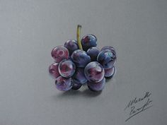 a drawing of some grapes on a gray surface with watercolor pencils in it