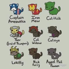 an image of cats and kittens with names on the front, in different colors