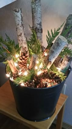 a potted plant filled with pine cones and lights