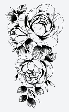 black and white drawing of flowers with leaves on the bottom half of each flower, which is