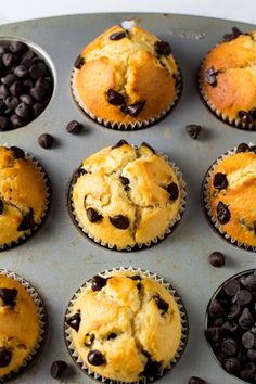 twelve muffins with chocolate chips in them on a baking tray, ready to be eaten