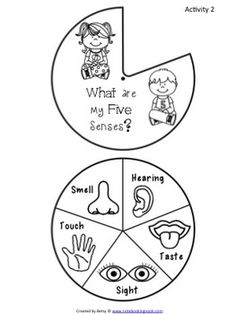 an activity sheet for children to learn how to read and understand the five sensess