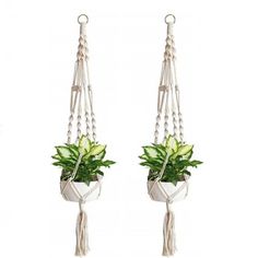 two white hanging planters with green plants in them, one holding a potted plant