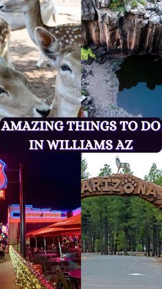 things to do in Williams AZ Things To Do In Williams Arizona, Williams Az Things To Do In, Williams Arizona Things To Do In, Williams Az, Wickenburg Arizona, Williams Arizona, Grand Canyon Arizona